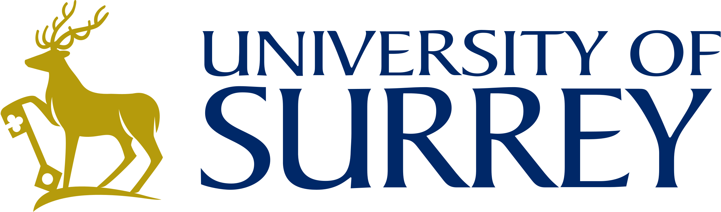 University of Surrey